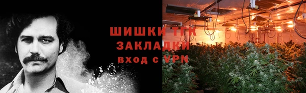 прущие грибы Балабаново