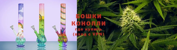 прущие грибы Балабаново
