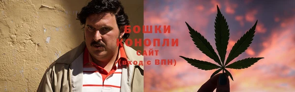прущие грибы Балабаново