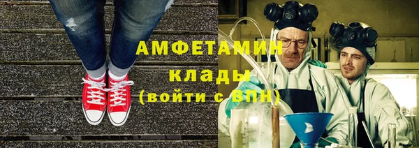 прущие грибы Балабаново