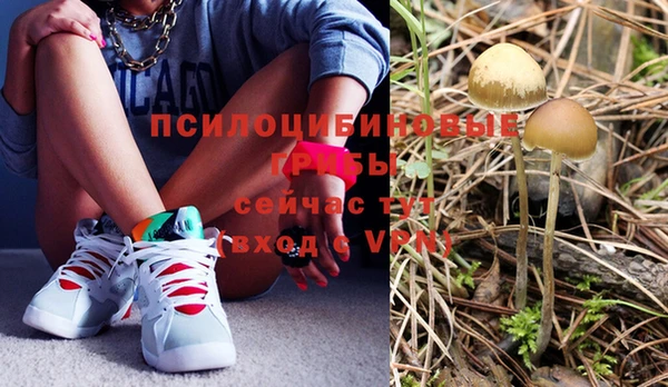 прущие грибы Балабаново